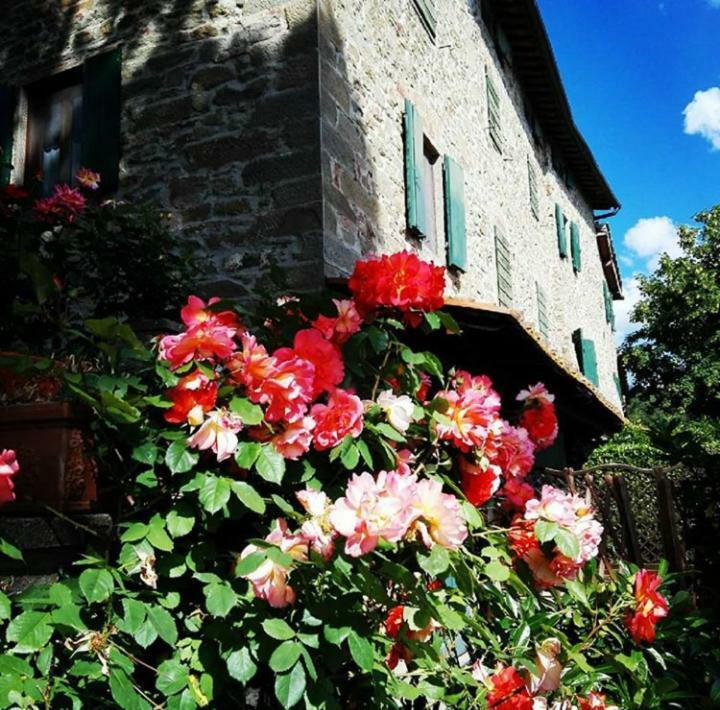 Podere I Rovai-Apt Il Rifugio- In The Heart Of Tuscany Reggello Εξωτερικό φωτογραφία