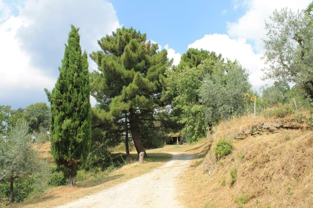 Podere I Rovai-Apt Il Rifugio- In The Heart Of Tuscany Reggello Εξωτερικό φωτογραφία