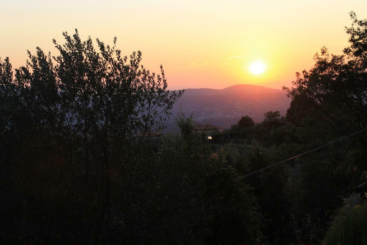 Podere I Rovai-Apt Il Rifugio- In The Heart Of Tuscany Reggello Εξωτερικό φωτογραφία