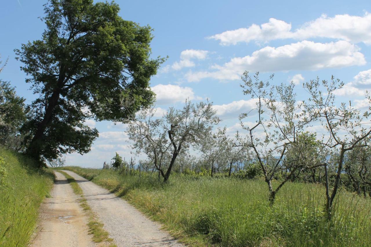 Podere I Rovai-Apt Il Rifugio- In The Heart Of Tuscany Reggello Εξωτερικό φωτογραφία